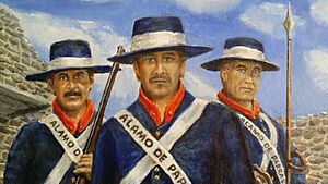 Alamo Parras JMA, Gregorio, Felipe red collar