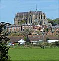 Arundal cathedral from the S