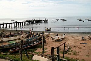 Bakau 0001