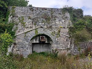 Ballykeefe Quarry ruin
