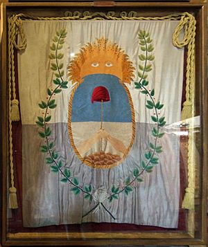 Bandera de los andes (perspective corrected)