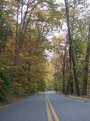 Beach Drive in Rock Creek Park