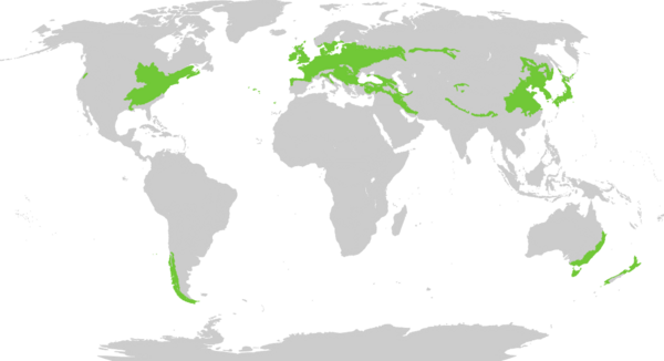 Biome map 04