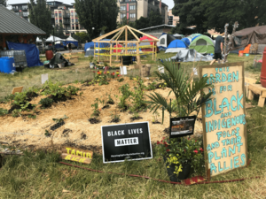 Black & Indigenous Peoples Garden (50037614568)