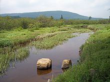 Blackwater River Canaan Valley Resort State Park