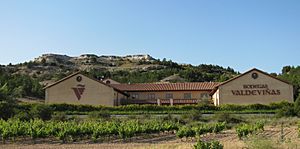 Bodega Valdeviñas Mirat Langa Ribera del Duero