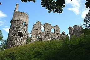 Boyne Castle - geograph.org.uk - 483751