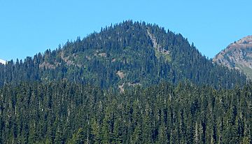 Buell Peak seen from Highway 123 in Mount Rainier National Park.jpg