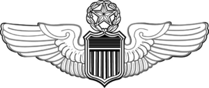COMMAND PILOT WINGS