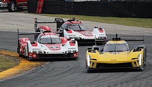 CadillacVLMDhwithPorsche963s (cropped)