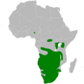 Calandrella cinerea distribution map