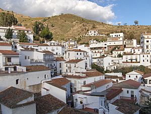 View of El Borge