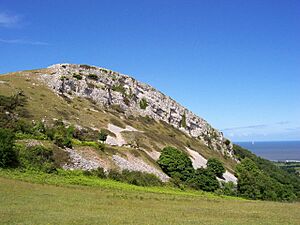 Craig y Forwyn, Conwy