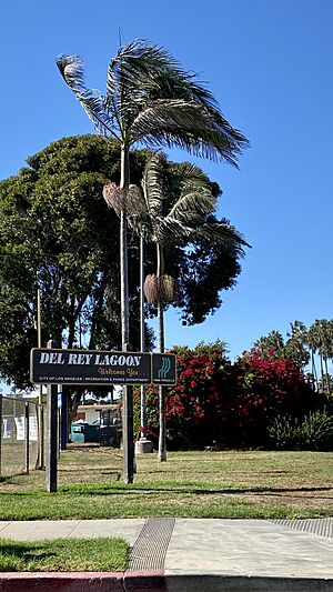 Del Rey Lagoon Park sign Playa Del Rey California