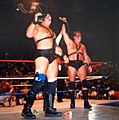 Demoliton WWF Tag Champions