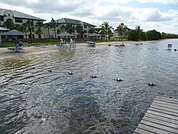 FGCU beach on Miromar Lake