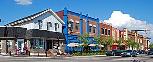 FarmingtonMIHistoricDistrictD