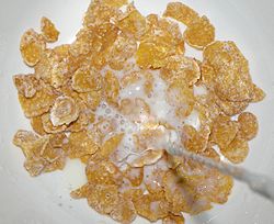 Frosted flakes with milk
