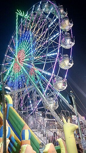 Giant Circle at Poush Mela