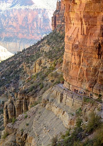 Grand Canyon National Park, North Kaibab Trail in Redwall 0990 - Flickr - Grand Canyon NPS