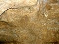 Gravure rupestre (mammouth)