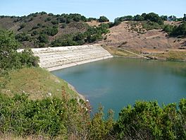 Guadalupe Reservoir Dam.jpg