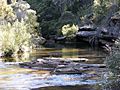 Heathcote National Park stream 3