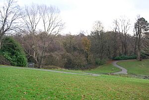 Hilbert Woods Nature Reserve - geograph.org.uk - 1070374