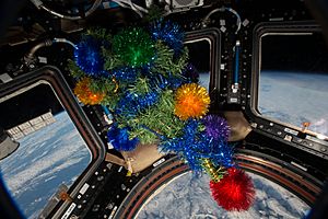 ISS-46 Christmas Tree in Cupola module