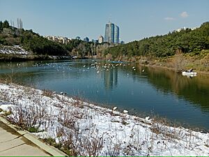 ITU Pond1