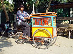 Indonesia bike45
