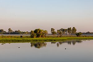Kakadu (AU), Kakadu National Park, Yellow Water -- 2019 -- 3769