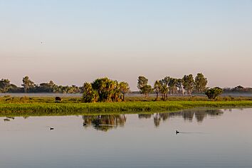 Kakadu (AU), Kakadu National Park, Yellow Water -- 2019 -- 3769
