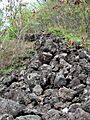 Kamoa Point overgrown ruins