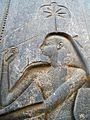 Luxor temple 16