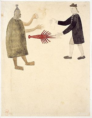 Maori bartering a crayfish - Drawings illustrative of Captain Cook's First Voyage (1769), f.11 - BL Add MS 15508