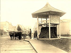 McKinley Stump - Ezra Meeker 01
