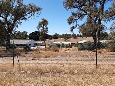 Medina Research Station, Postans, Western Australia, March 2020.jpg