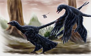 Microraptor by durbed