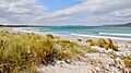 Middleton Beach, 2018 (04)