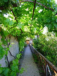 Miranda de Ebro - Centro de Interpretación de la Miranda Antigua (CIMA), Jardín Botánico 19