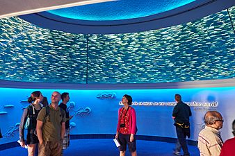 Visitors stand in a tall room underneath sardines swimming in a circle around them