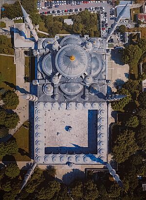Mosquée bleue (48985210373)