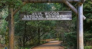 Muir Woods National Monument, Marin County, California