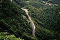 NH22 Shimla Chandigarh Mountain Highway through Forests, Roads in Himachal Pradesh India 2014