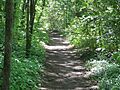 Natchez Trace Trail