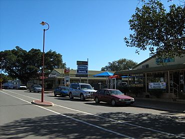 OIC dongara commercial area.jpg