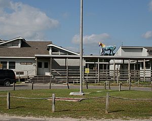 OcracokeSchool