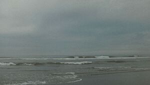 Pacific Ocean at Twin Harbors State Park (1648813291)