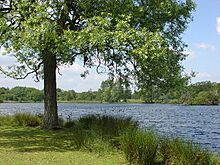 Pen Ponds, Richmond Park - geograph.org.uk - 17621